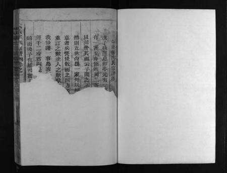 浙江沈氏族谱-武义沈氏宗谱 [5卷].pdf电子版预览图2