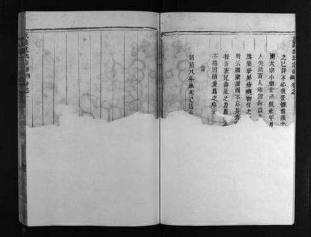 浙江沈氏族谱-武义沈氏宗谱 [5卷].pdf电子版预览图5