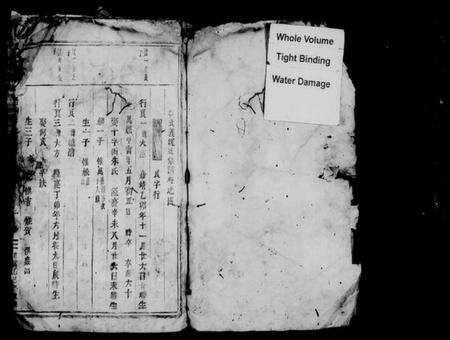 浙江沈氏族谱-武义沈氏宗谱 [残卷].pdf电子版预览图2