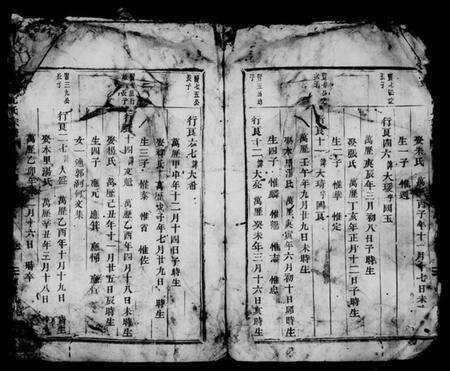 浙江沈氏族谱-武义沈氏宗谱 [残卷].pdf电子版预览图4