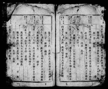 浙江沈氏族谱-武义沈氏宗谱 [残卷].pdf电子版预览图5