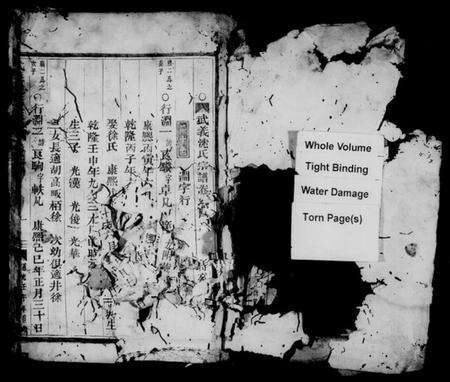 浙江沈氏族谱-武义沈氏宗谱 [残卷].pdf电子版预览图2