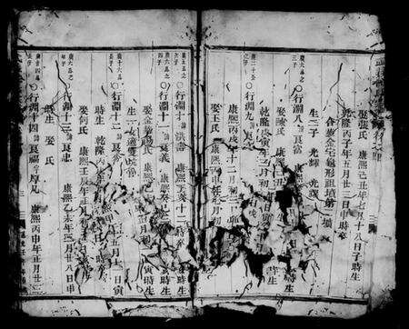 浙江沈氏族谱-武义沈氏宗谱 [残卷].pdf电子版预览图4