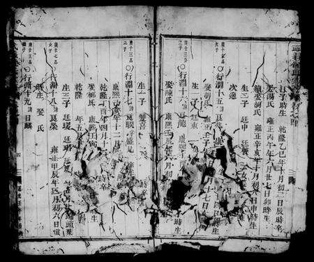 浙江沈氏族谱-武义沈氏宗谱 [残卷].pdf电子版预览图5