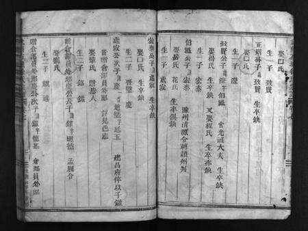 浙江徐氏族谱-武阳石城徐氏宗谱 [残卷].pdf电子版预览图3