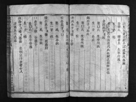 浙江徐氏族谱-武阳石城徐氏宗谱 [残卷].pdf电子版预览图4