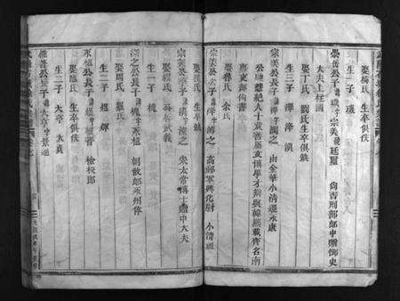 浙江徐氏族谱-武阳石城徐氏宗谱 [残卷].pdf电子版预览图5