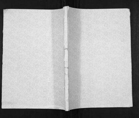 江苏顾氏族谱-顾氏宗谱[不分卷].pdf电子版缩略图