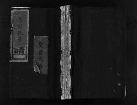 浙江赵氏族谱-水坑赵氏宗谱 [不分卷].pdf电子版预览图1