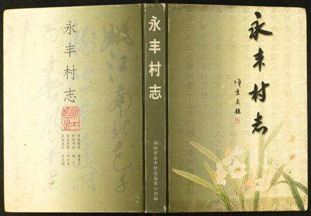 浙江多姓氏族谱-永丰村志.pdf电子版缩略图