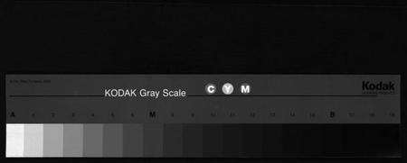 浙江胡氏族谱-永嘉茗川胡氏宗谱[12卷].pdf电子版缩略图