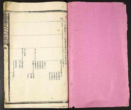 江西许氏族谱-石城谭溪许氏八九联修族谱.pdf电子版预览图1