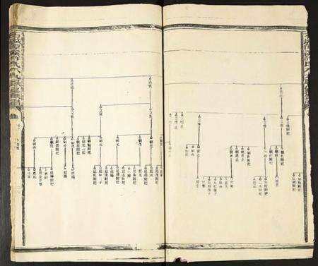 江西许氏族谱-石城谭溪许氏八九联修族谱.pdf电子版预览图2