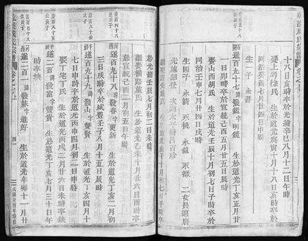浙江成氏族谱-永康上谷郡成氏宗谱 [8卷].pdf电子版预览图3