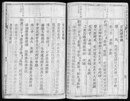 浙江成氏族谱-永康上谷郡成氏宗谱 [8卷].pdf电子版预览图5