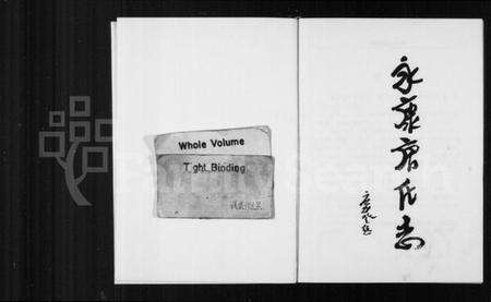 浙江唐氏族谱-永康唐氏志.pdf电子版缩略图