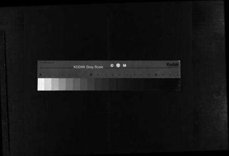 浙江姚氏族谱-永康塔石姚氏宗谱 [4卷].pdf电子版缩略图