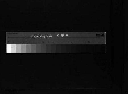 浙江周氏族谱-汝南下蔡周周氏宗谱 [不分卷].pdf电子版缩略图