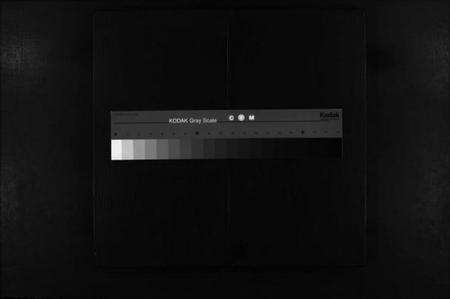 浙江周氏族谱-汝南周氏宗谱 [不分卷].pdf电子版缩略图