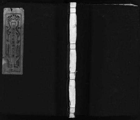 浙江应氏族谱-汝南郡丹灶里应氏宗谱 [2卷].pdf电子版预览图1