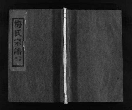 浙江梅氏族谱-汝南郡梅氏宗谱 [2卷].pdf电子版预览图1