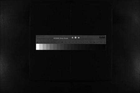 浙江梅氏族谱-汝南郡梅氏宗谱 [2卷].pdf电子版缩略图