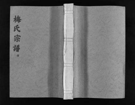 浙江梅氏族谱-汝南郡梅氏宗谱 [2卷].pdf电子版预览图1