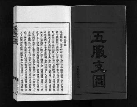 浙江梅氏族谱-汝南郡梅氏宗谱 [2卷].pdf电子版预览图3