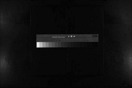 浙江黄氏族谱-江夏郡蒲岐黄氏宗谱 [不分卷].pdf电子版缩略图