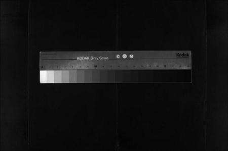 浙江林氏族谱-江浙续修洪步林氏宗谱 [8卷,含末1卷].pdf电子版缩略图