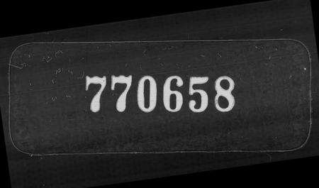 浙江汪氏族谱-汪氏振绮堂宗谱 [3卷].pdf电子版缩略图