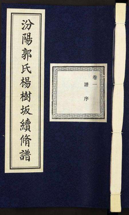 浙江郭氏族谱-汾阳郭氏杨树坂宗谱.pdf电子版缩略图
