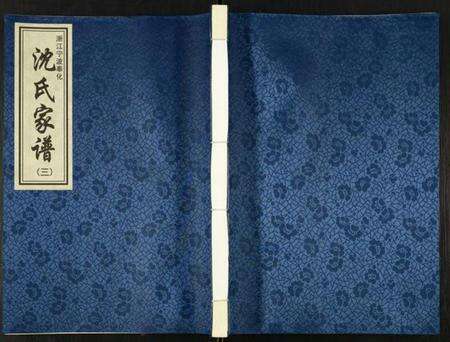 浙江沈氏族谱-沈氏宗谱.pdf电子版缩略图