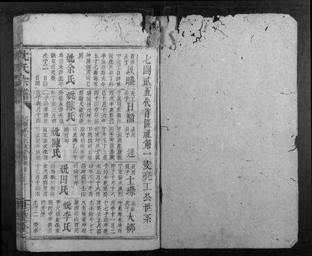 浙江沈氏族谱-沈氏宗谱.pdf电子版预览图1