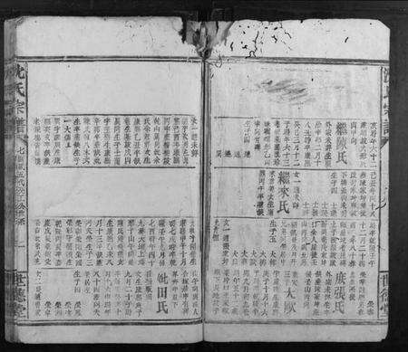 浙江沈氏族谱-沈氏宗谱.pdf电子版预览图2