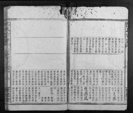 浙江沈氏族谱-沈氏宗谱.pdf电子版预览图3