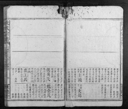 浙江沈氏族谱-沈氏宗谱.pdf电子版预览图4