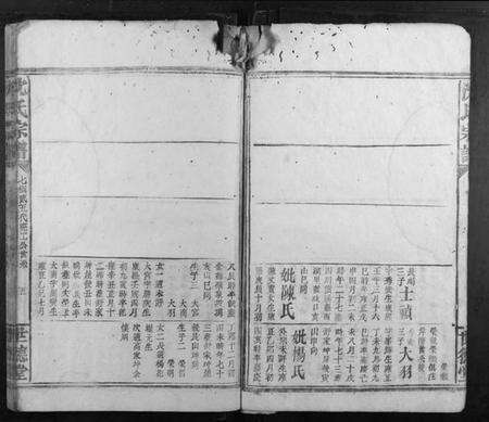 浙江沈氏族谱-沈氏宗谱.pdf电子版预览图5