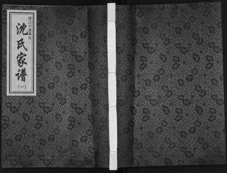 浙江沈氏族谱-沈氏家谱.pdf电子版缩略图