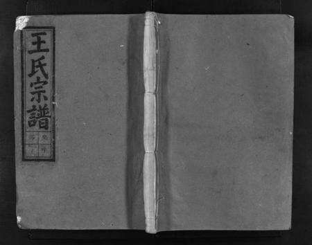 浙江王氏族谱-沙溪王氏宗谱 [6卷].pdf电子版预览图1