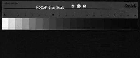 浙江方氏族谱-河南方氏宗谱 [残卷].pdf电子版缩略图
