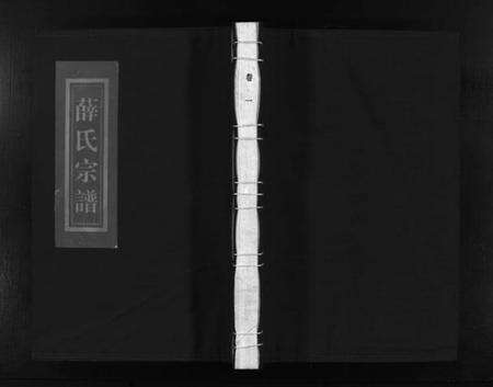 浙江薛氏族谱-河东薛氏宗谱 [10卷].pdf电子版预览图1