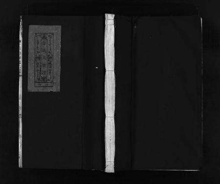 浙江薛氏族谱-河东薛氏宗谱 [4卷].pdf电子版预览图1