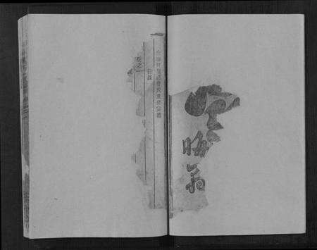 浙江詹氏族谱-河间詹氏宗谱[3卷].pdf电子版预览图2