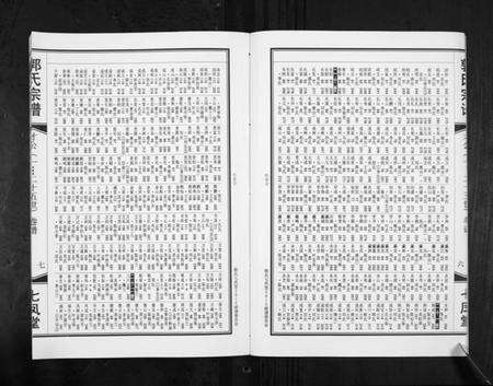 江苏郭氏族谱-郭氏宗谱.pdf电子版预览图5