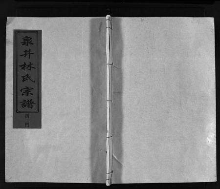 浙江林氏族谱-泉井林氏宗谱 [1卷].pdf电子版预览图1