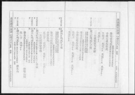 浙江蔡氏族谱-泉溪蔡氏宗谱.pdf电子版预览图2