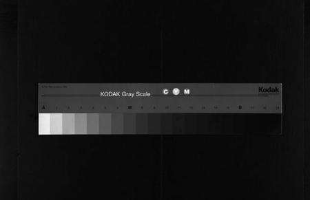 浙江蔡氏族谱-泉溪蔡氏宗谱 [18卷,附1卷].pdf电子版缩略图