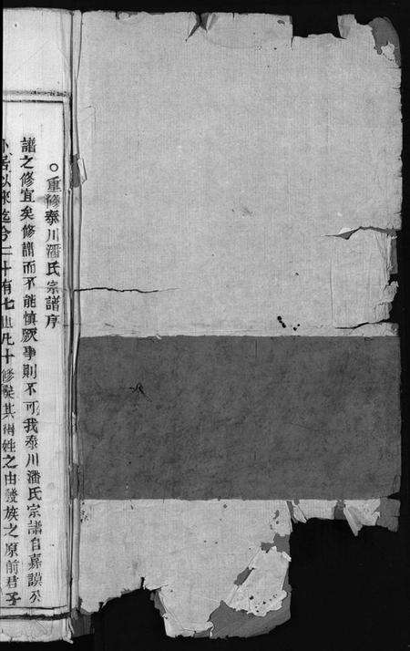 浙江潘氏族谱-泰石潘氏宗谱 [10卷].pdf电子版预览图2