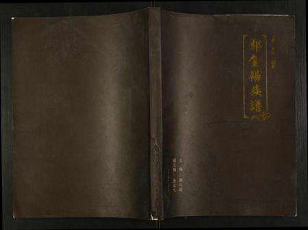 湖北郭氏金氏杨氏族谱-郭金杨族谱.pdf电子版缩略图